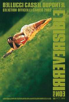 Irreversible 6.jpg